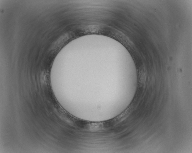 X0000079580126200612221440