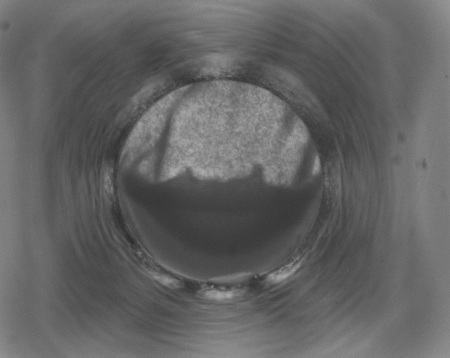 X0000079580127200612221440