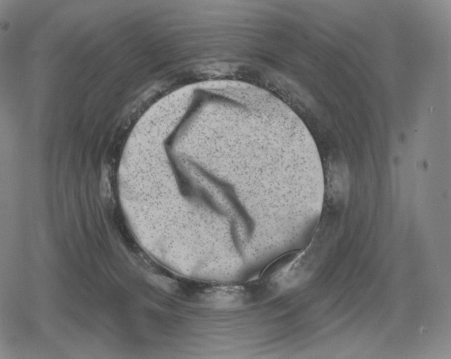 X0000079580128200612221440