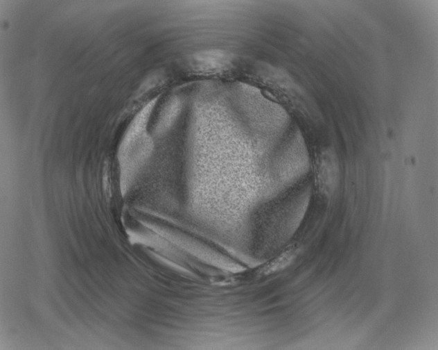 X0000079580131200612221440