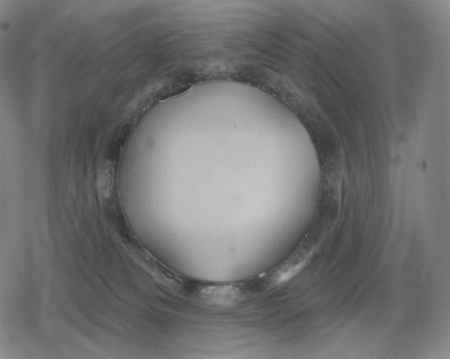 X0000079580133200612221440