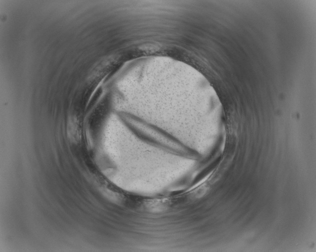 X0000079580136200612221440