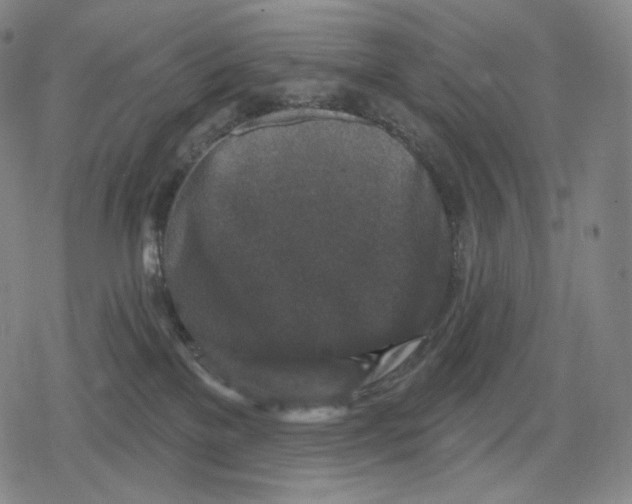 X0000079580137200612221440