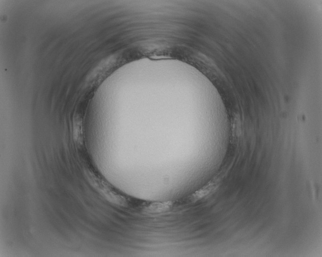 X0000079580138200612221440