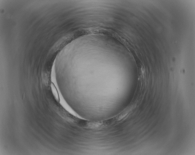 X0000079580139200612221440