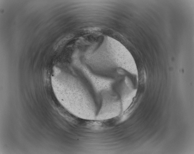 X0000079580140200612221440