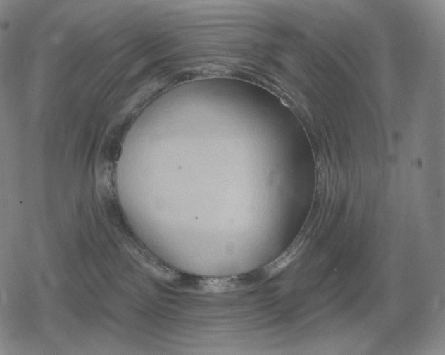 X0000079580141200612221440