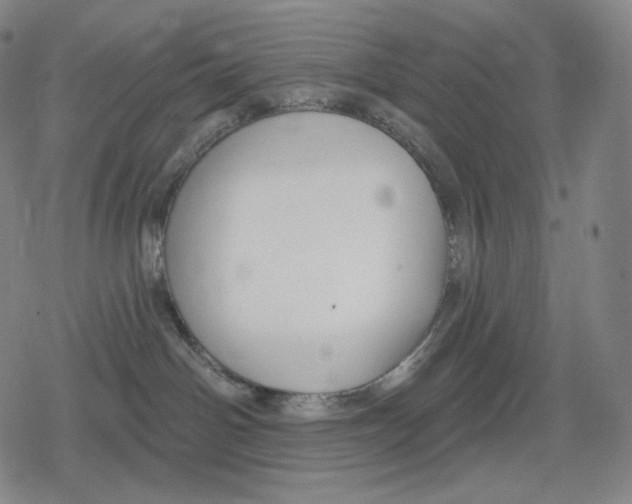 X0000079580142200612221440