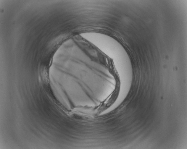 X0000079580143200612221440