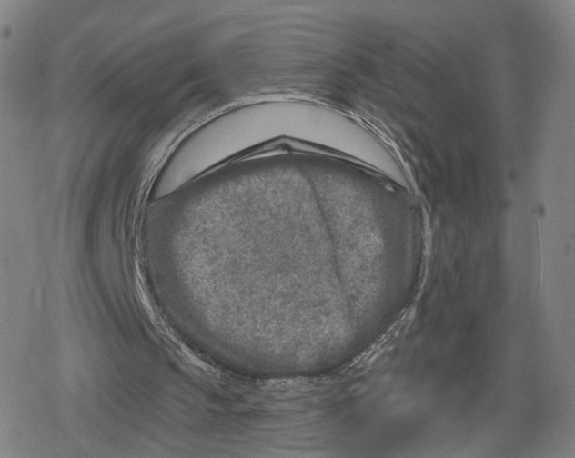 X0000079580145200612221439