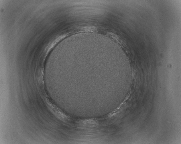 X0000079580146200612221439