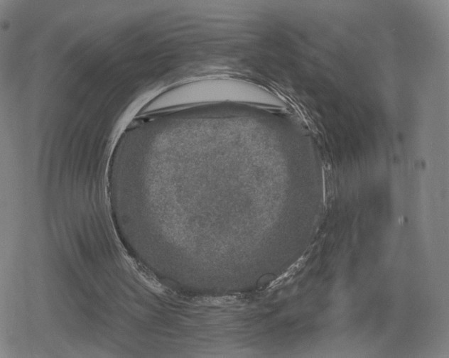 X0000079580147200612221439