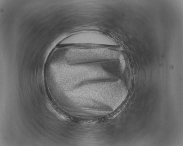 X0000079580148200612221439