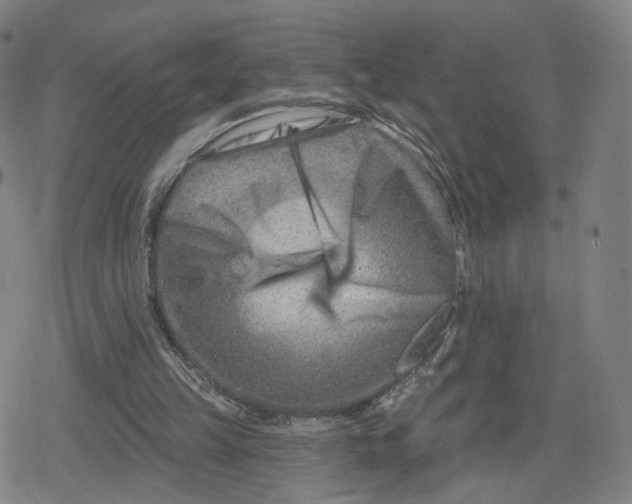 X0000079580149200612221439