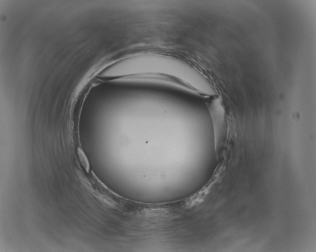 X0000079580150200612221439