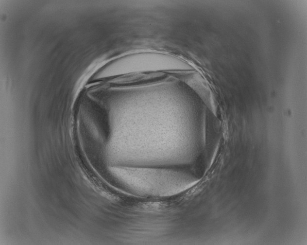 X0000079580152200612221439