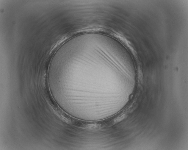 X0000079580153200612221439