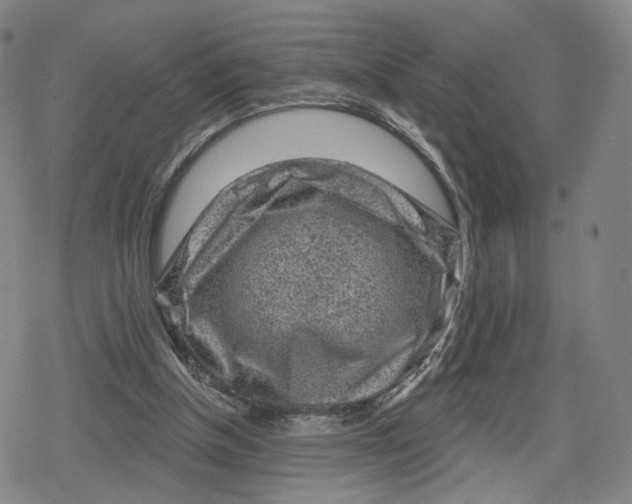 X0000079580154200612221439