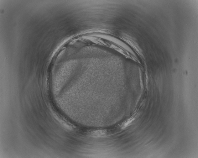 X0000079580156200612221439