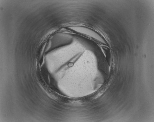 X0000079580157200612221439