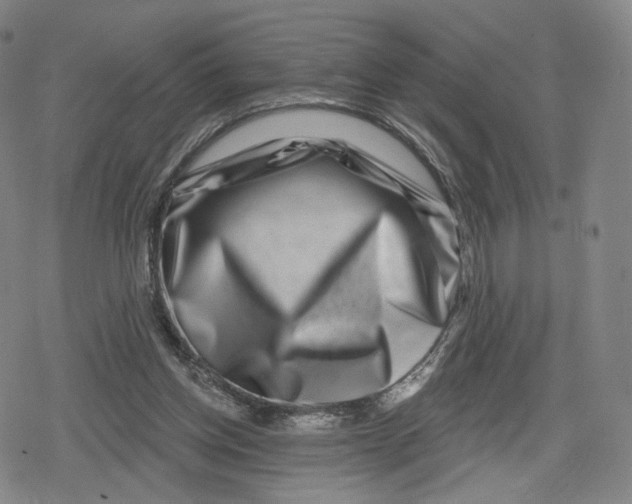 X0000079580158200612221439