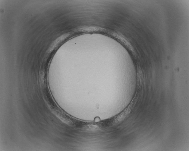 X0000079580159200612221439