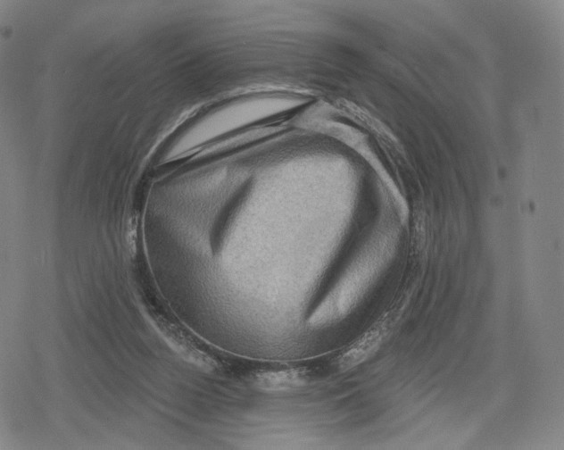 X0000079580160200612221439