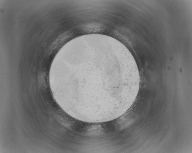 X0000079580162200612221439