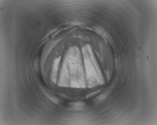 X0000079580165200612221439