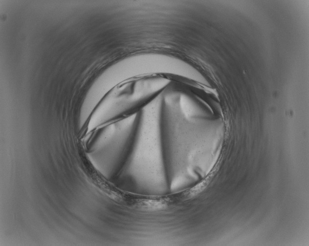 X0000079580166200612221439