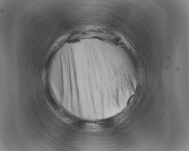 X0000079580167200612221439