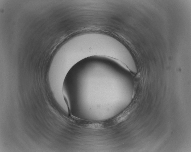 X0000079580168200612221439