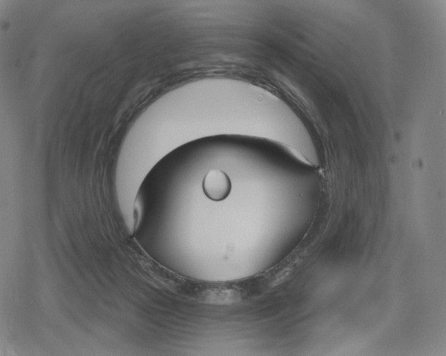 X0000079580169200612221439