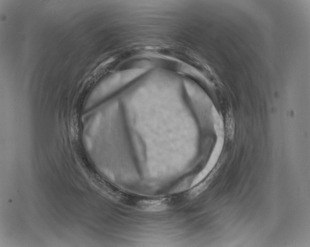 X0000079580170200612221439