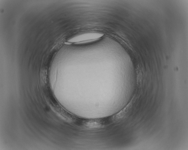 X0000079580171200612221439