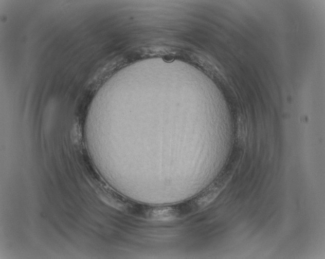 X0000079580173200612221439