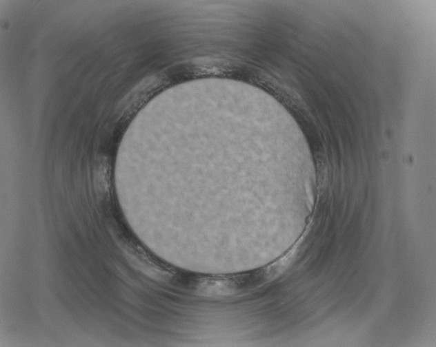 X0000079580174200612221439