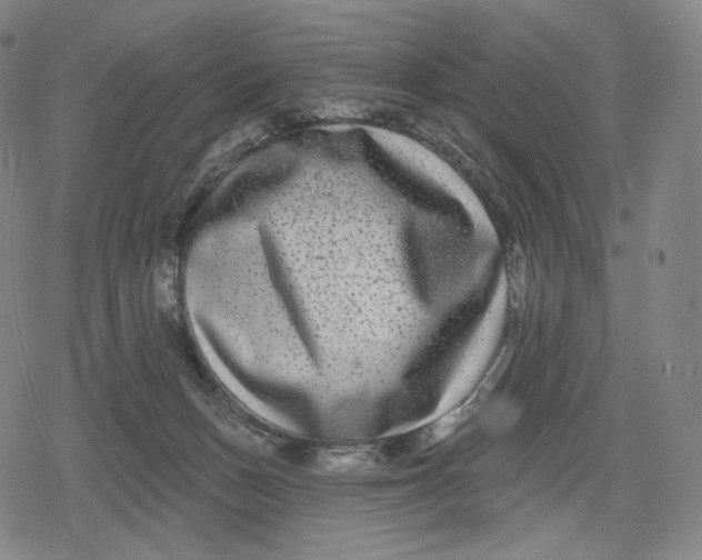 X0000079580175200612221439