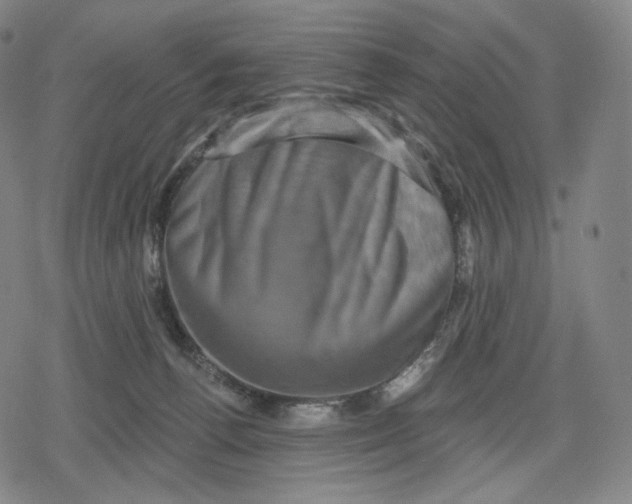 X0000079580176200612221439