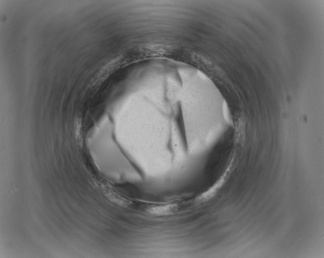 X0000079580178200612221440