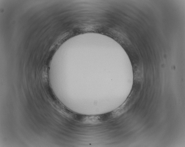 X0000079580179200612221440