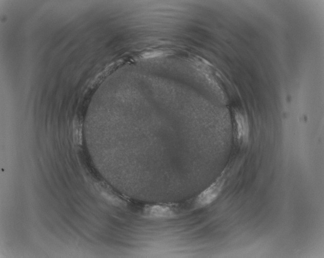 X0000079580180200612221440