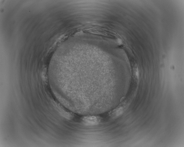 X0000079580181200612221440