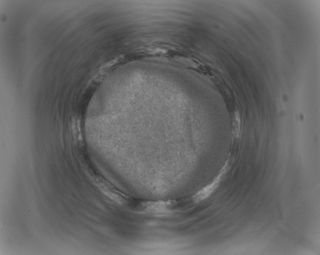 X0000079580182200612221440