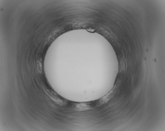 X0000079580183200612221440