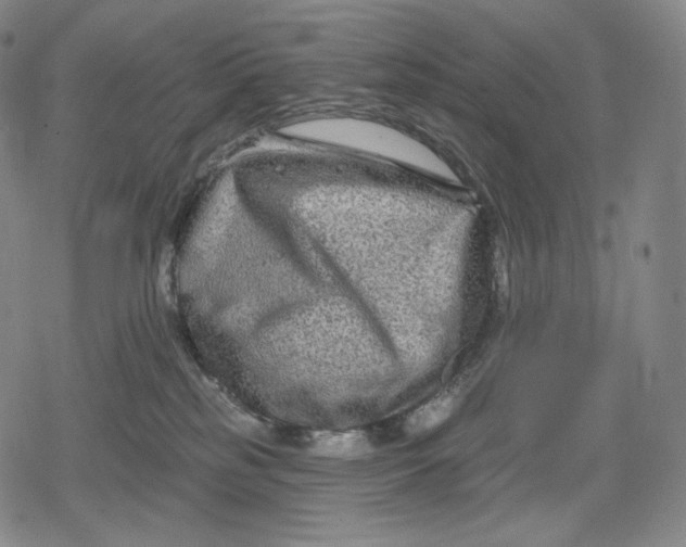 X0000079580185200612221440