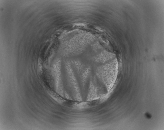 X0000079580186200612221440