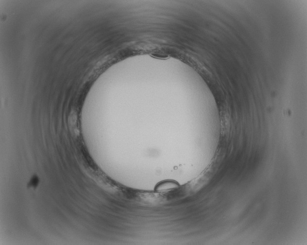 X0000079580187200612221440