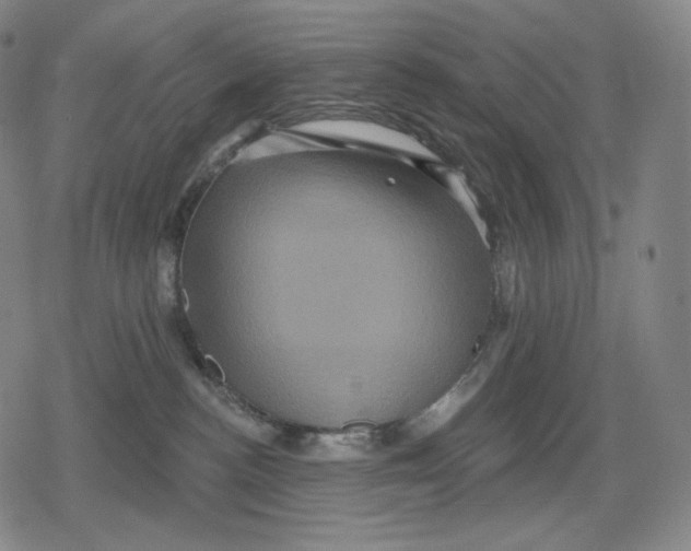 X0000079580188200612221440