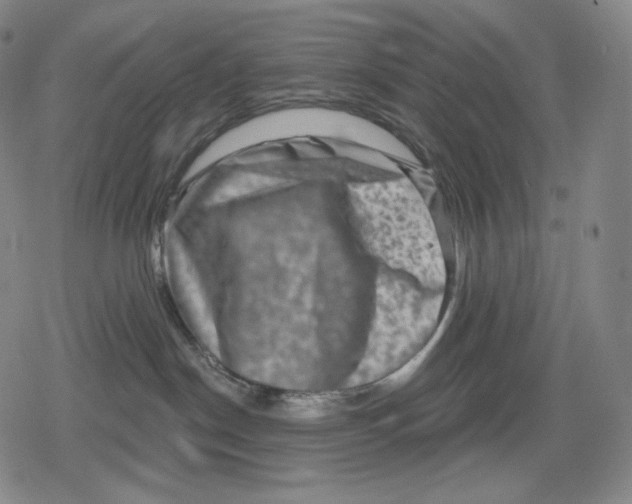 X0000079580190200612221440